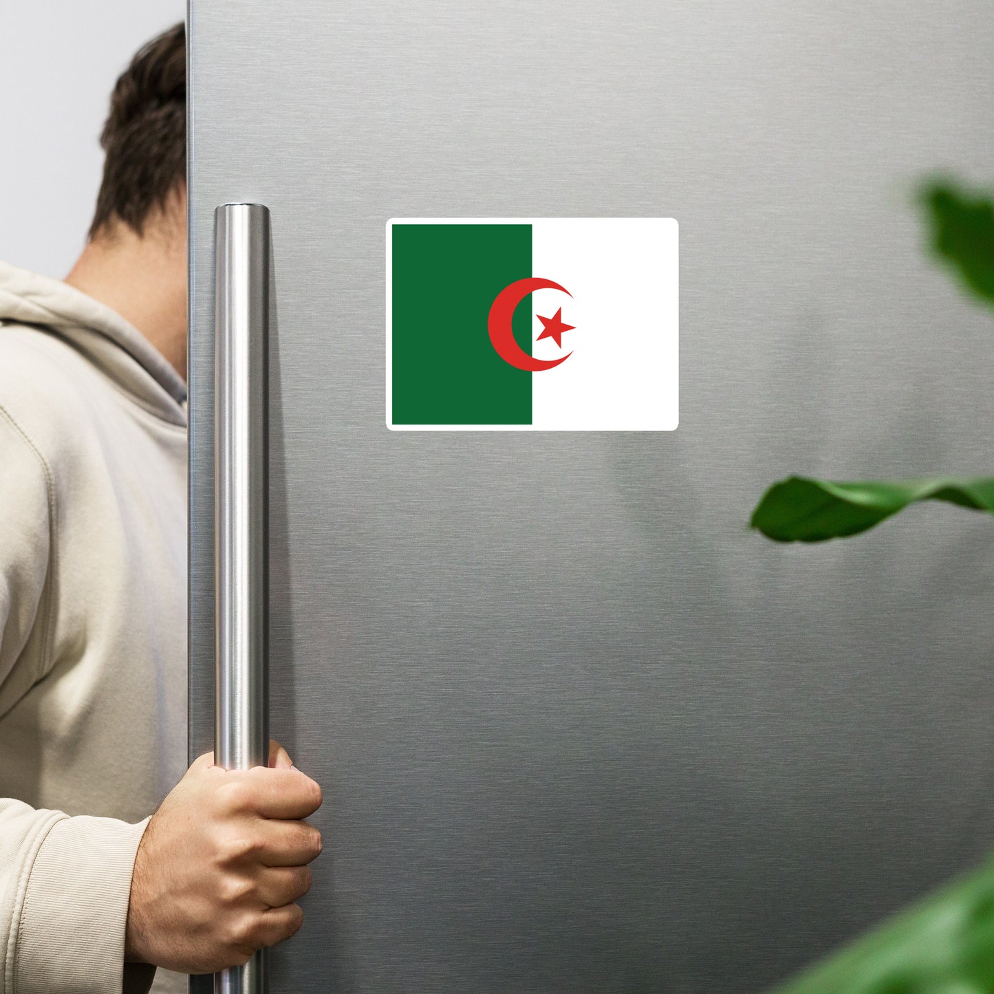 Algeria Flag _ علم الجزائر _ Magnet